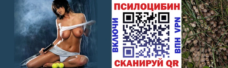 OMG как зайти наркошоп маркетплейс телеграм Псилоцибиновые грибы GOLDEN TEACHER Джанкой